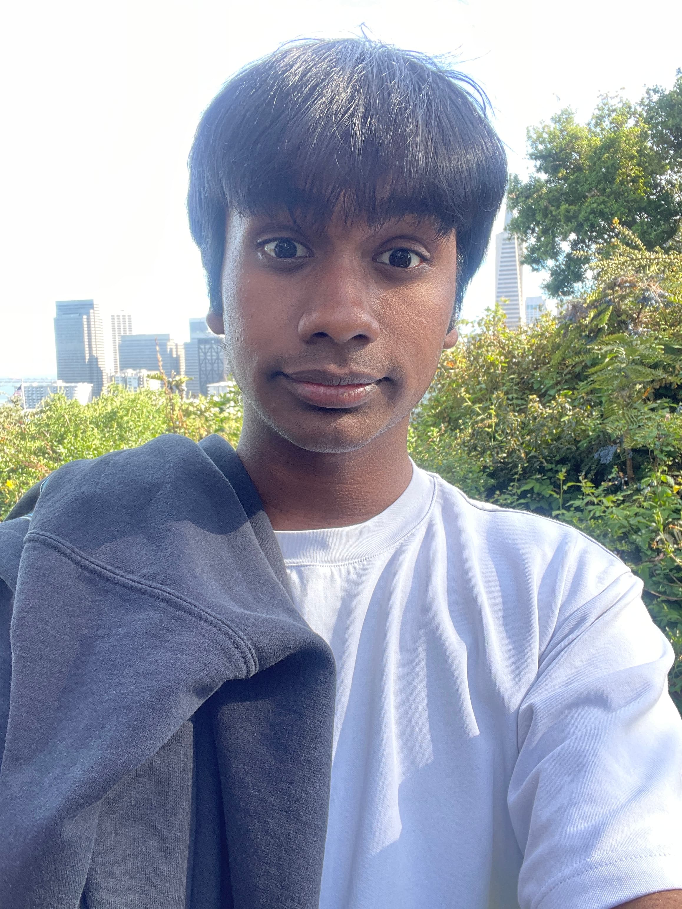 Harshul Basava